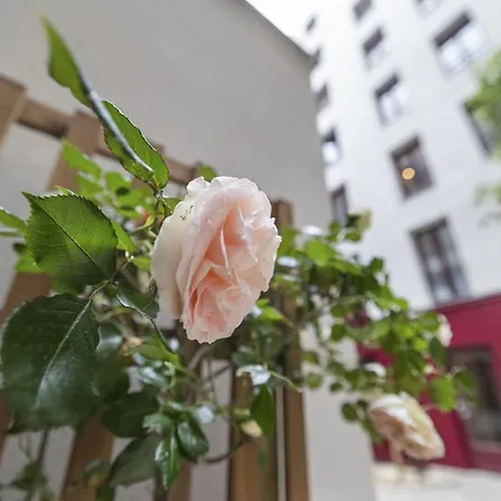 Lordino Apartment
